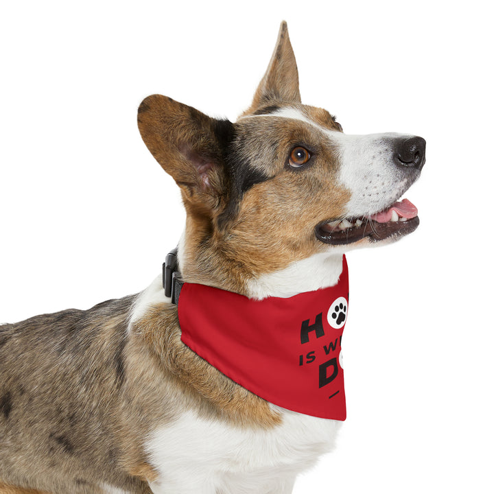 Pet Bandana Collar